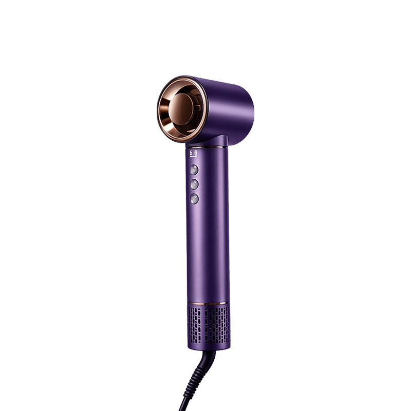 RS-H10